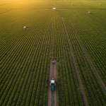 Careers in agriculture