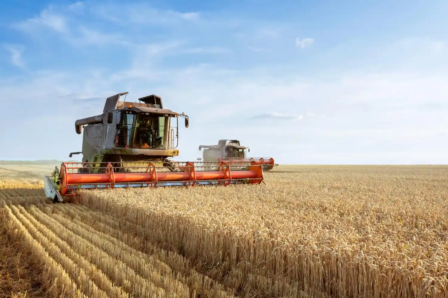 Commercial Agriculture 