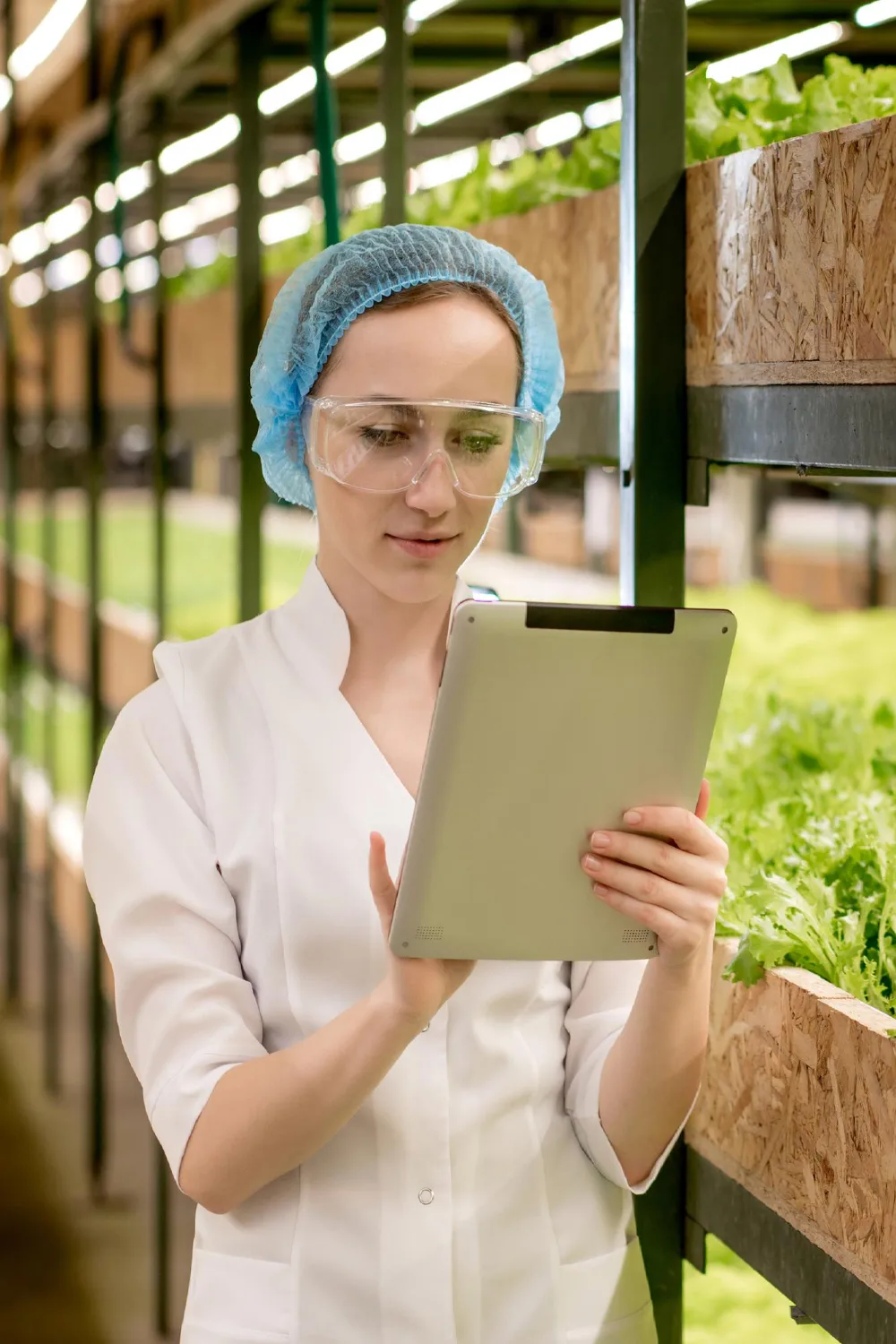 Commercial Agriculture 